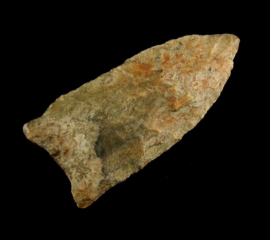 2" Paleo Dart (1 of 2)