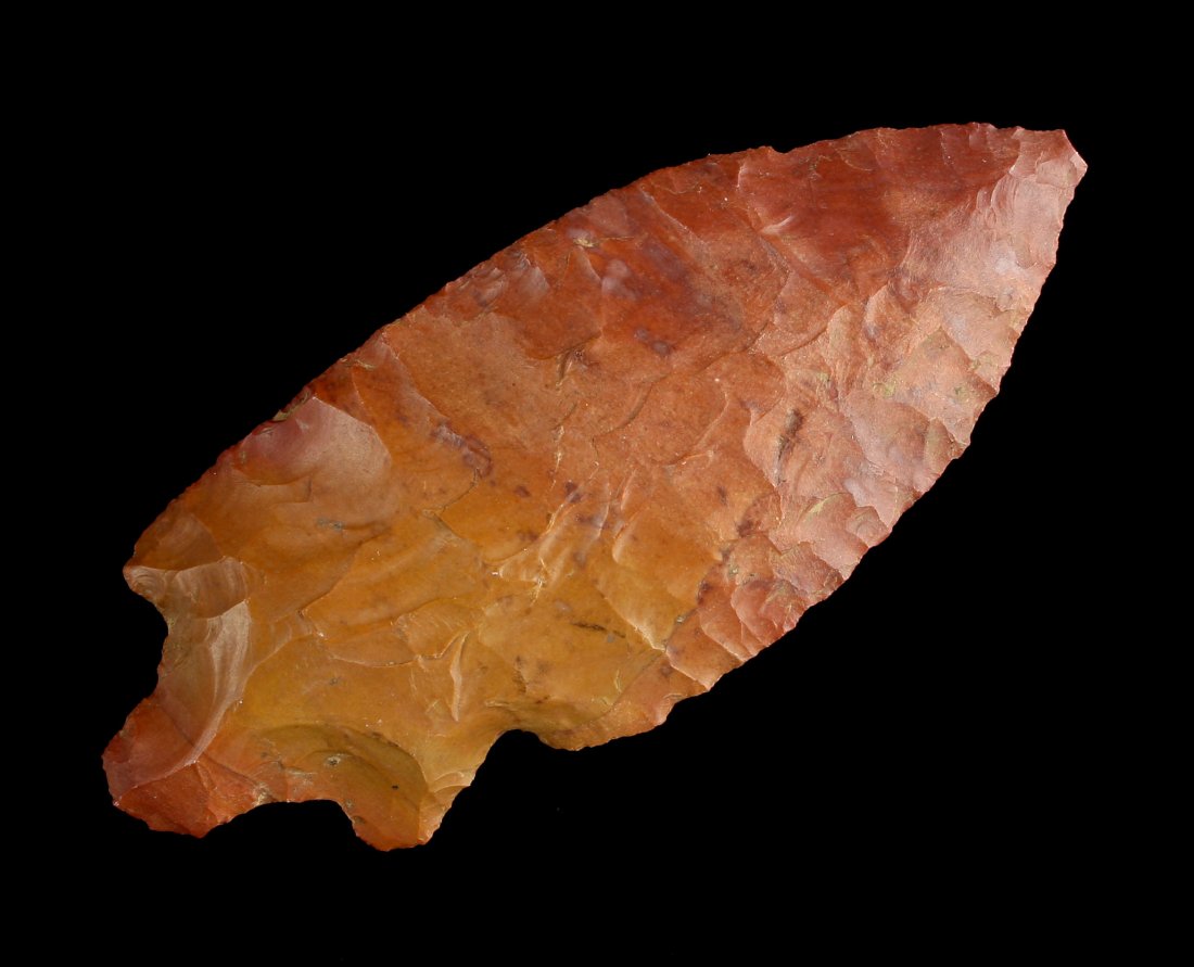 3 7/8" Hebron Turkeytail (1 of 2)