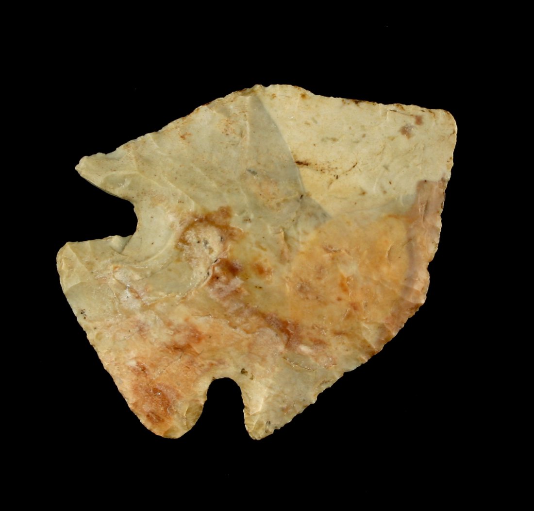 Classic 2" Afton - Jackson G-9 COA (1 of 2)