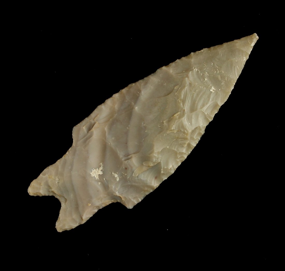 3 11/16" Pedernales - Rogers COA (1 of 2)