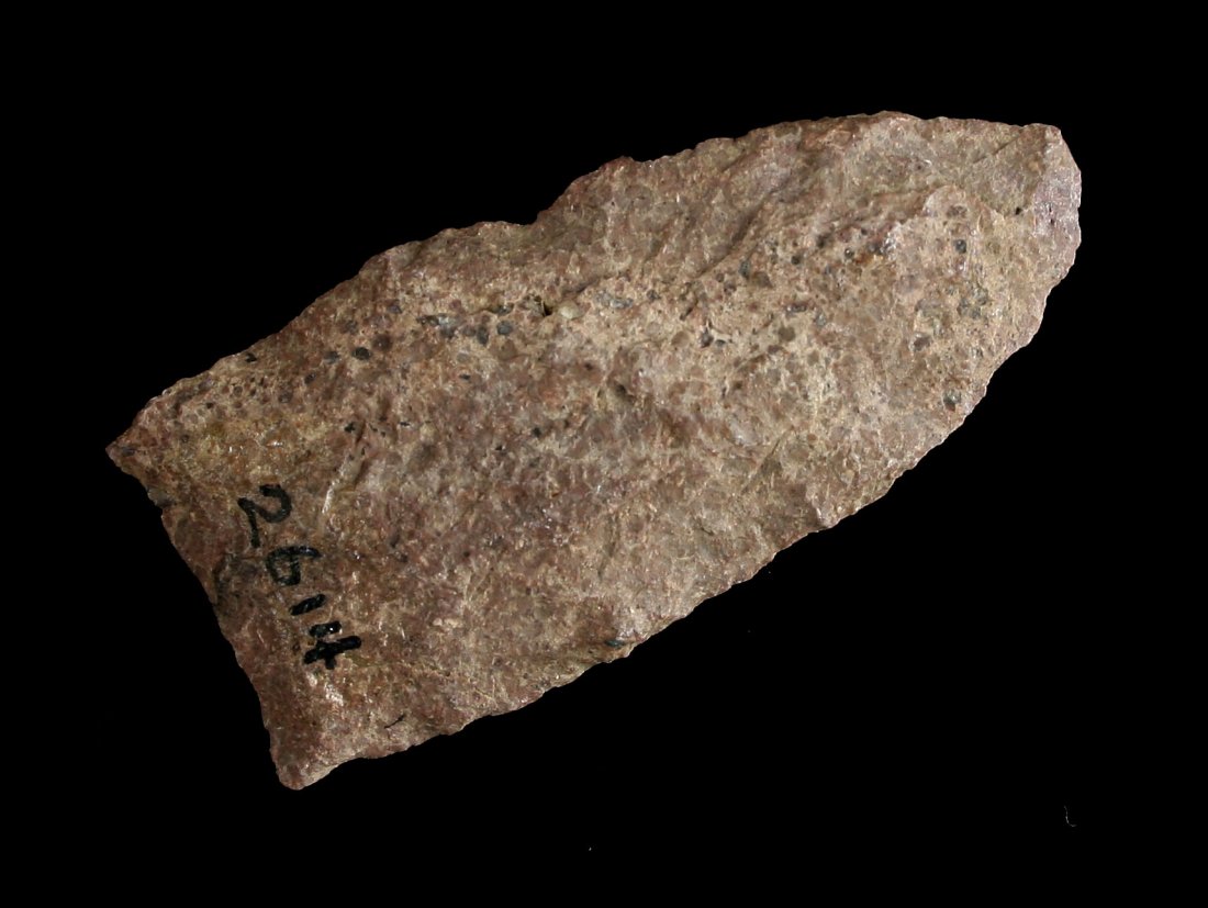 2 7/16" Paleo Dart (1 of 2)