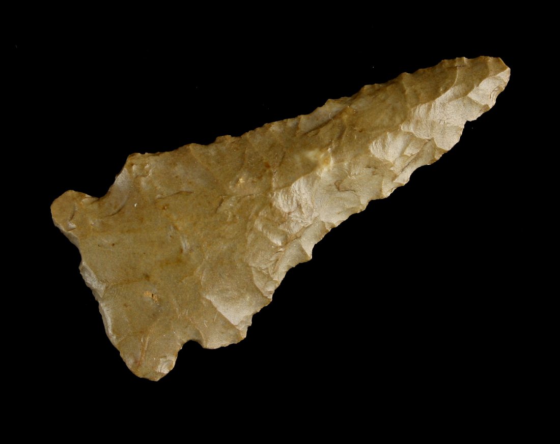 2 1/16" Pinetree: Nicely made brown hornstone example from Whitley Co., Kentucky. Ex - Robinson Collection.