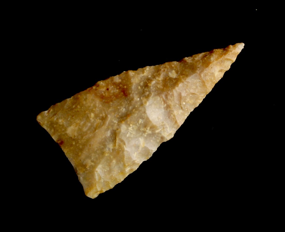 1 1/2" Triangle: Nicely made example in Boyle Chert from Whitley Co., Kentucky. Needle tip.