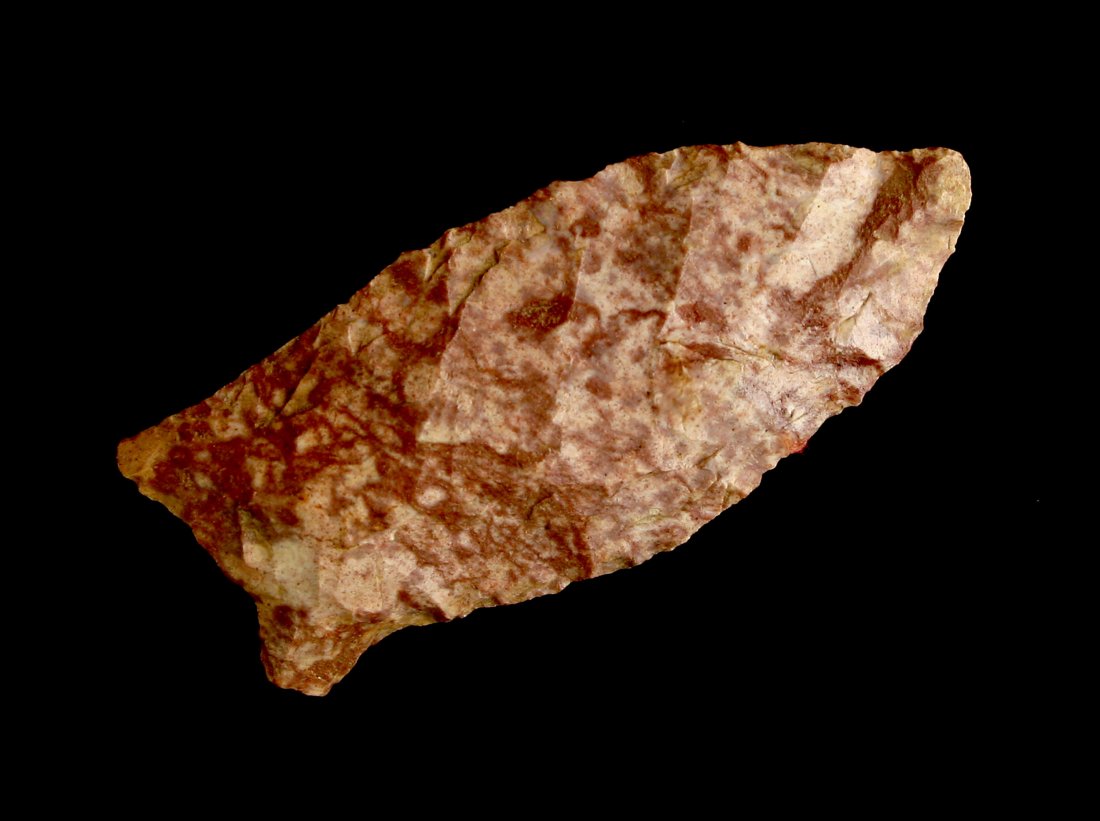 1 15/16" Beaver Lake (1 of 2)