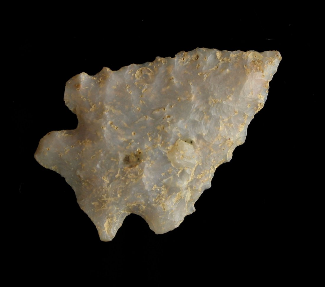 1 9/16" Translucent Kirk Serrated (1 of 2)