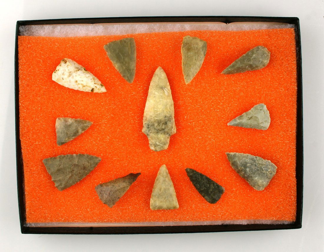 Display of 12 Arrowheads (1 of 1)