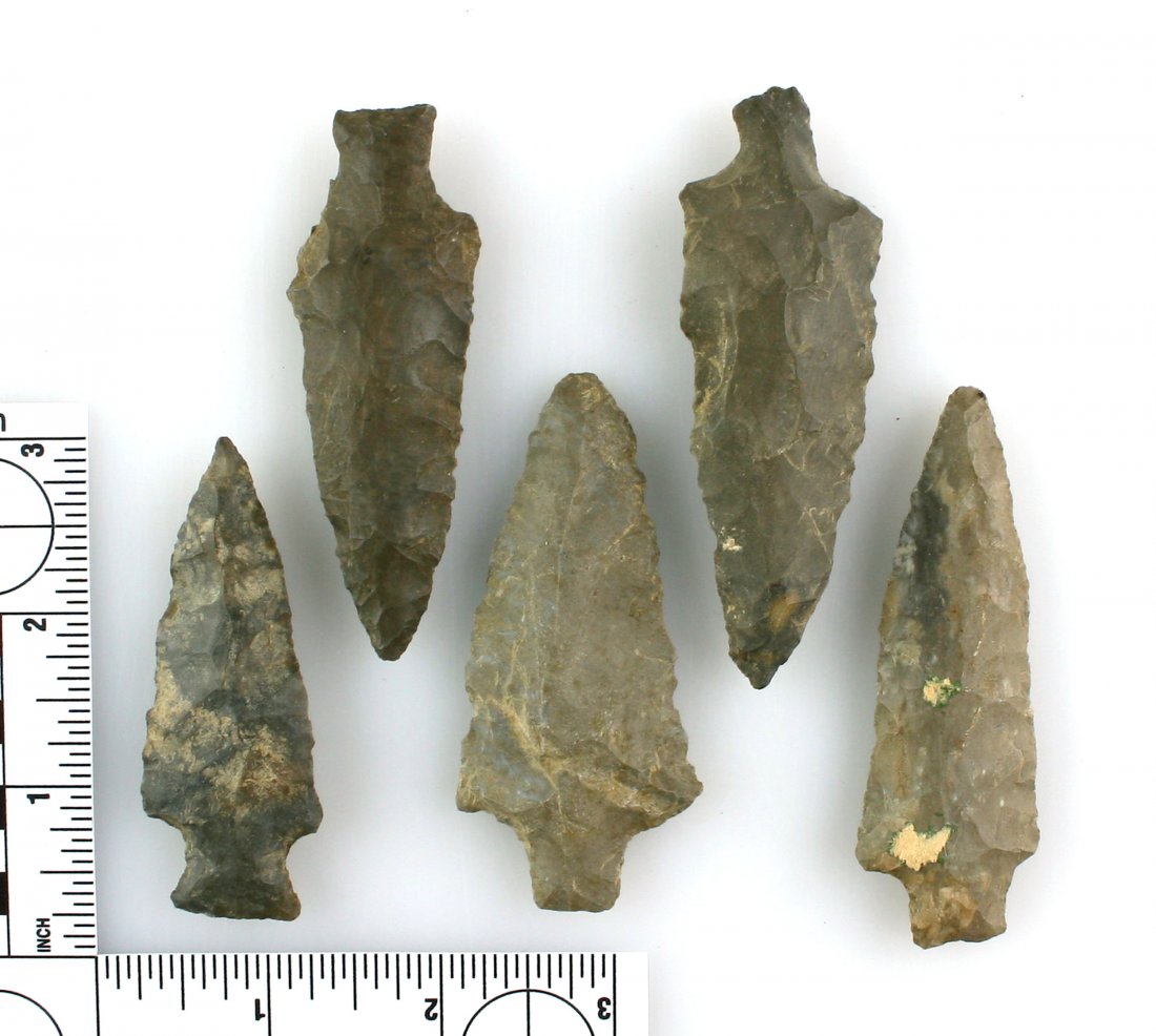 Collector Lot - 5 Large Tennessee Stemmed Arrowheads (1 of 1)