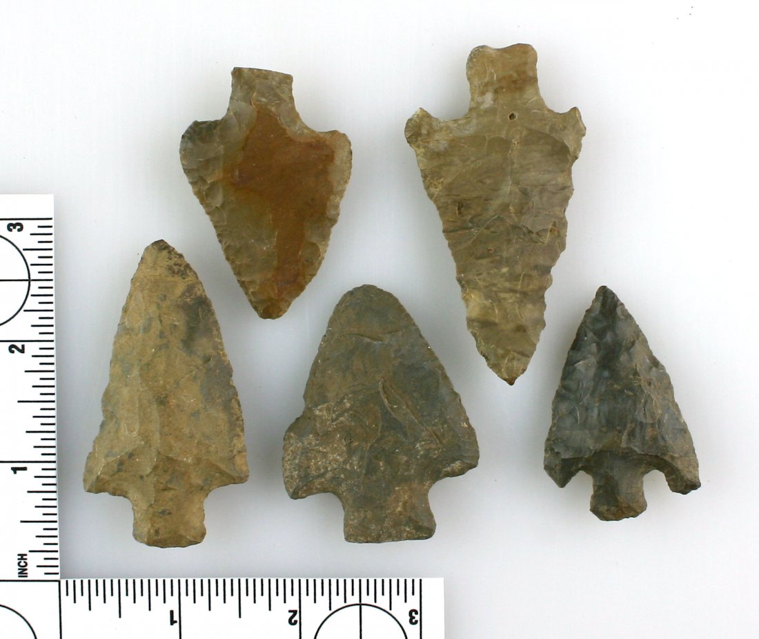 Collector Lot - 5 Extra Nice Tennessee Stemmed (1 of 1)