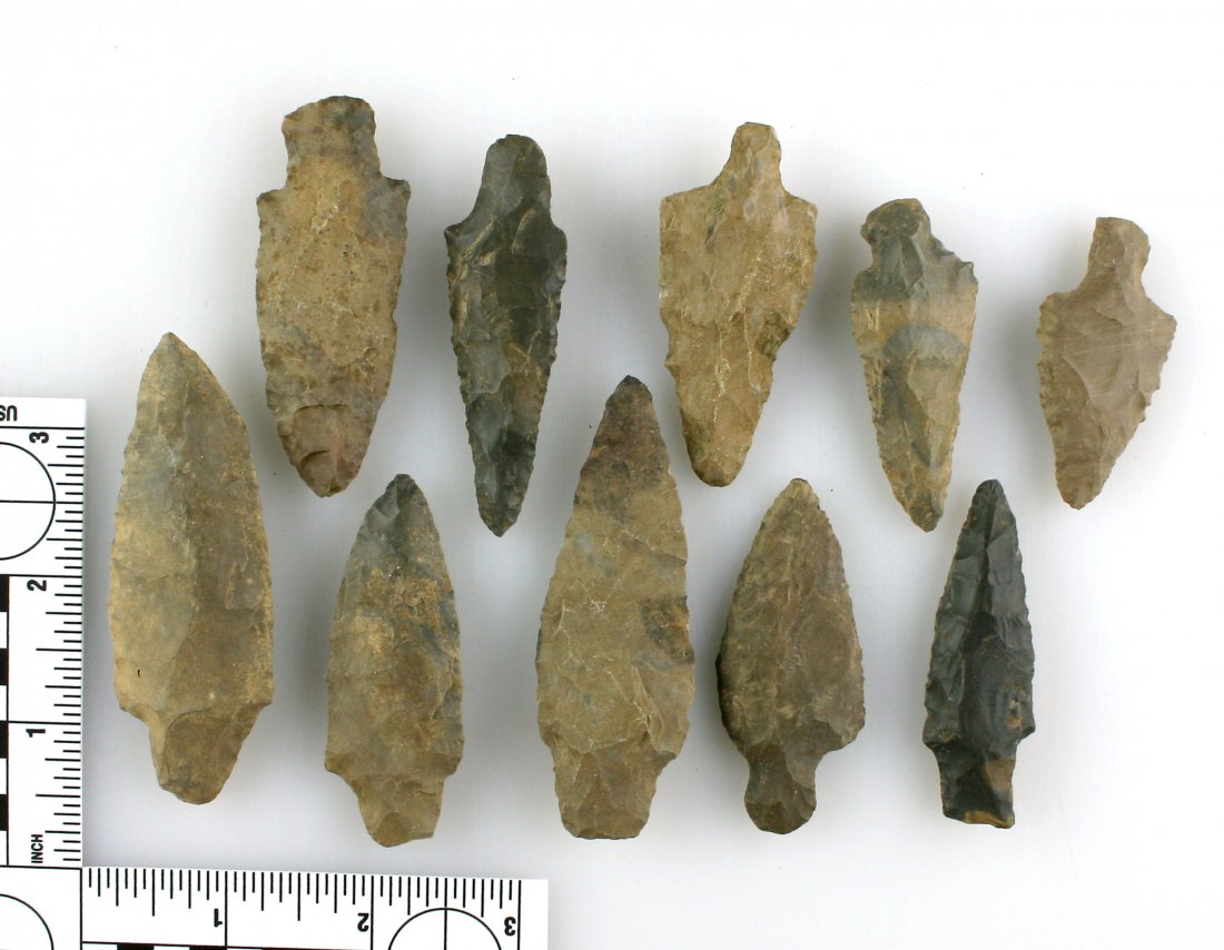 Collector Lot - 10 Tennessee Stemmed Points (1 of 1)