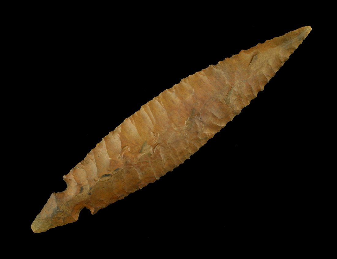 5 1/2" Reproduction Turkeytail (1 of 2)