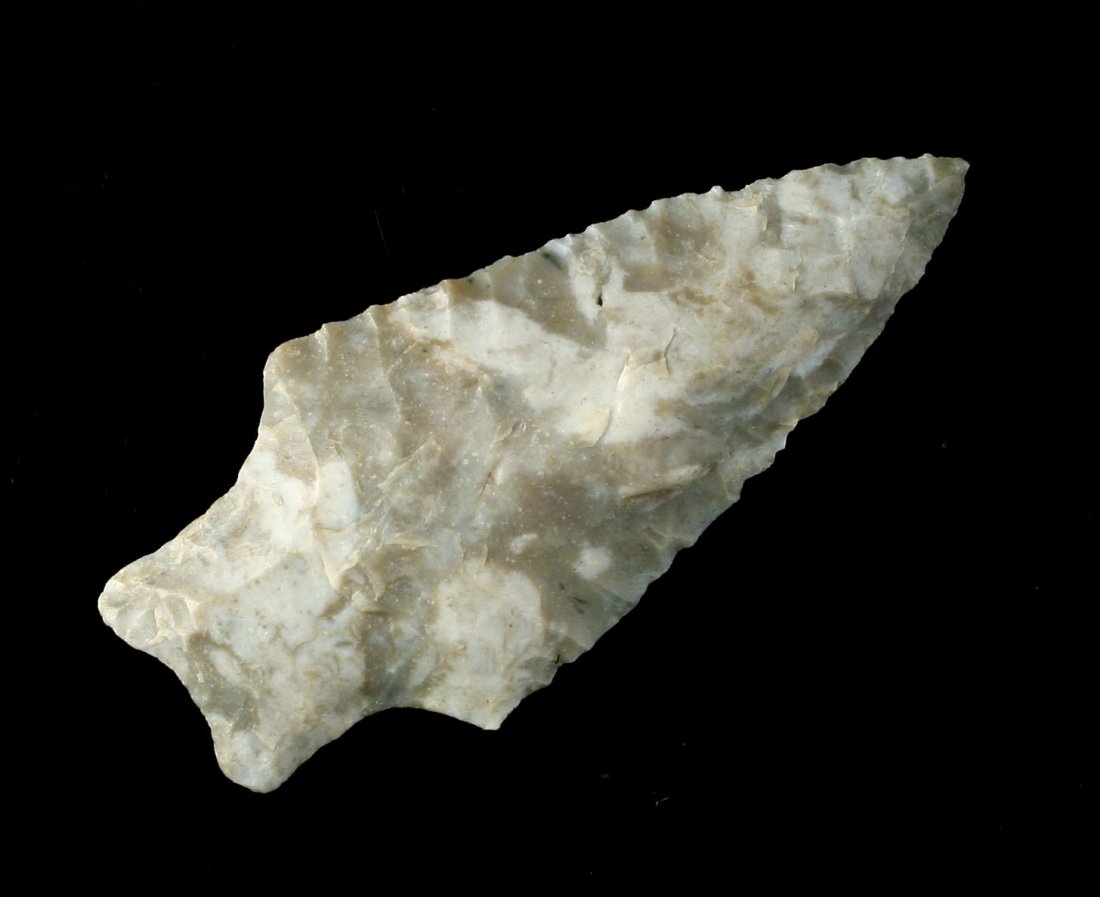 2 1/4" Heavy Duty - Stermer COA (1 of 2)