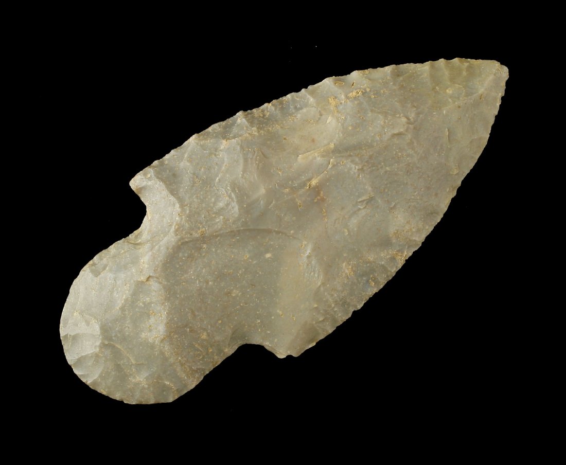 3 3/16" Beavertail Adena - Stermer COA (1 of 2)