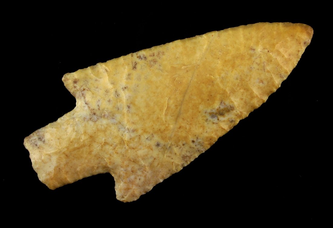 Awesome 4 3/8" Florida Coral Newnan - Baker G-10 COA (1 of 2)