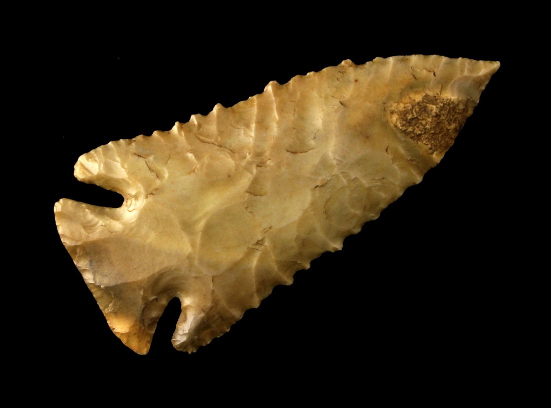 WORLD CLASS 3 1/16" Pinetree - Jackson G-10 COA (1 of 3)