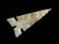 PICTURED 1 3/4" Cahokia - Davis G-10 COA