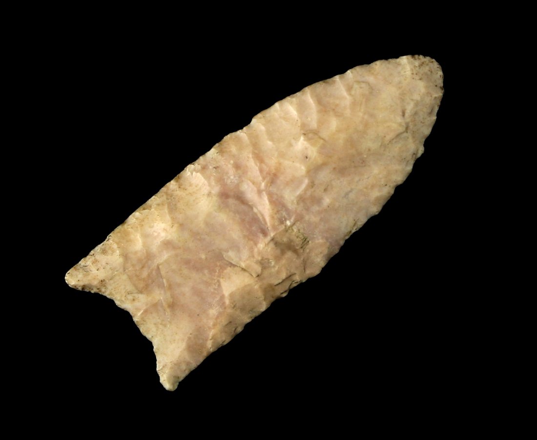 Ultra Thin 2" Barnes Variety Clovis - Partain COA (1 of 3)