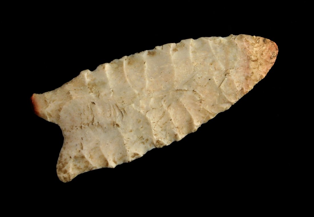 PICTURED 2 7/8" Dalton - Perino & Jackson COA's (1 of 2)