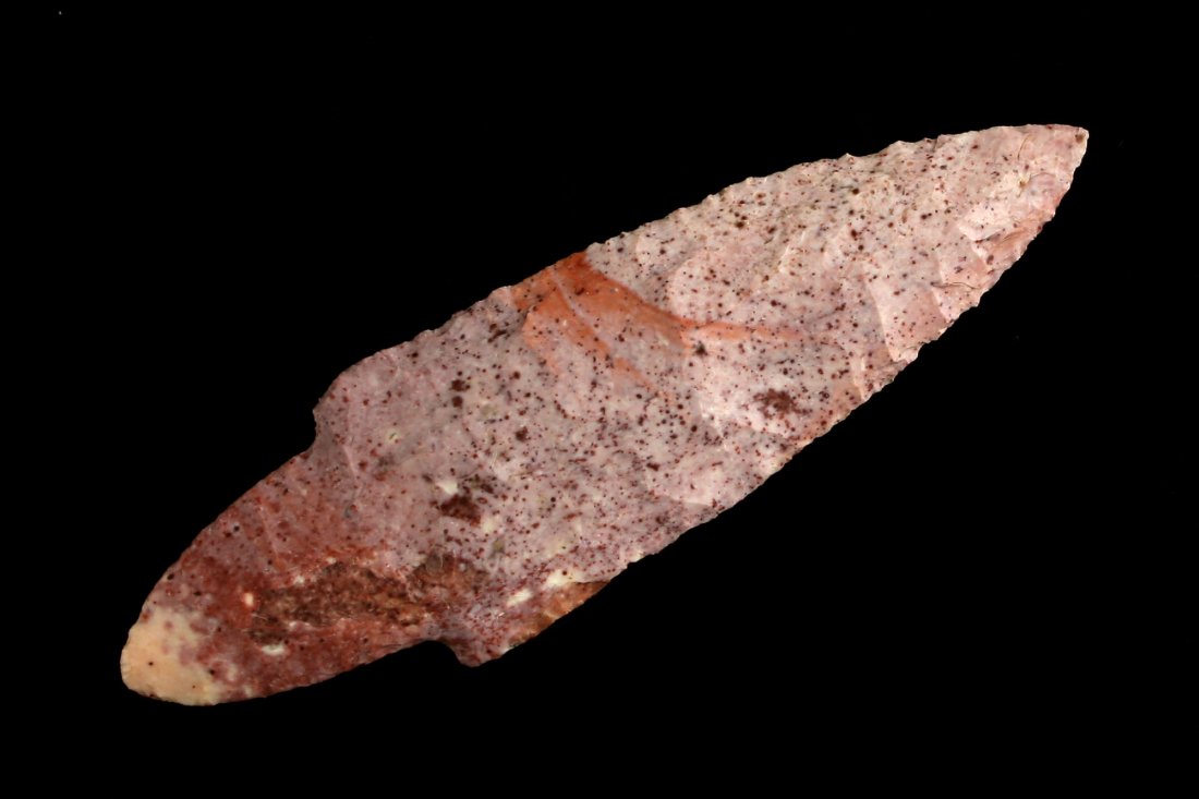 4 1/2" Adena Waubesa - Berner COA (1 of 2)