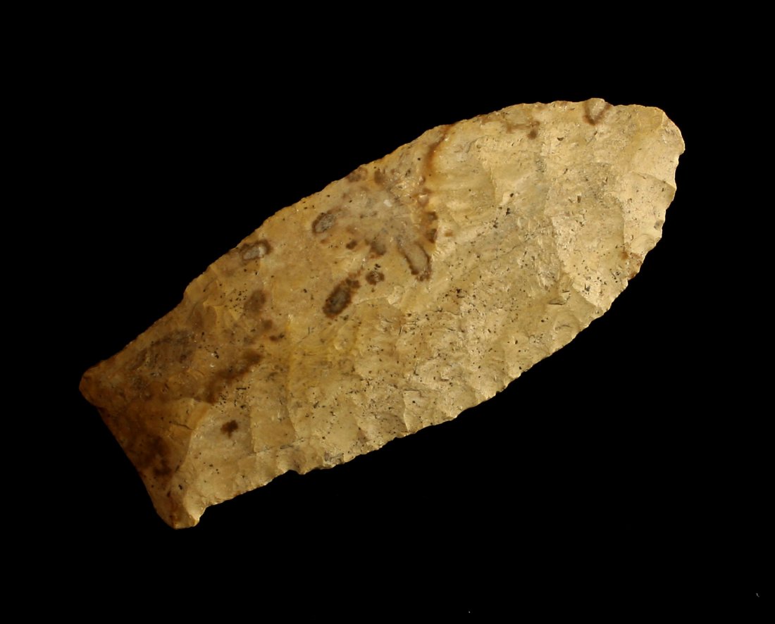 3 1/8" Scottsbluff/Eared Eden - Jackson COA (1 of 2)