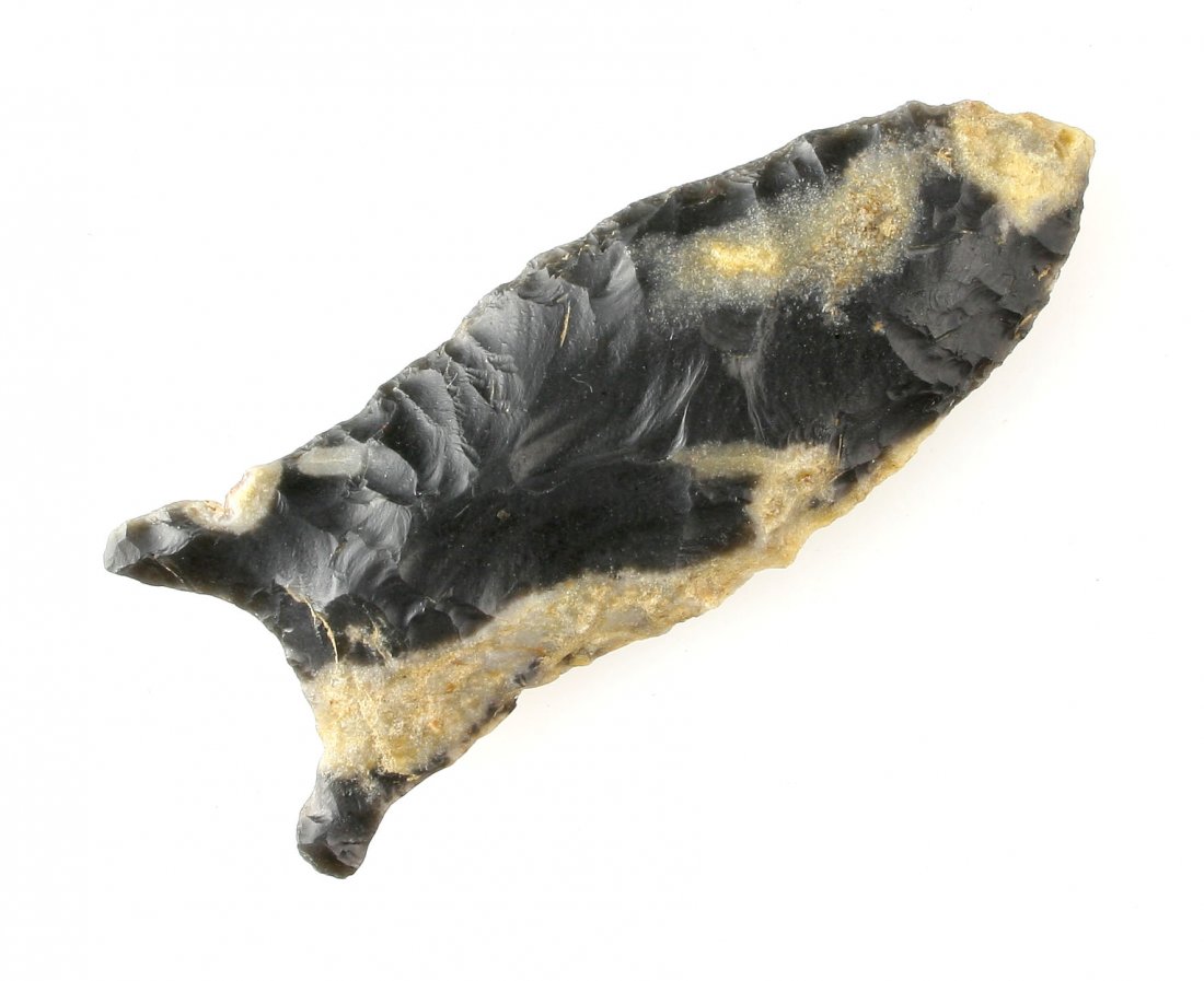 2 7/16" Beaver Lake: Nice example with defined ears made from a black and cream two-tone Knox Chert. Reported from Ohio but KY/TN line is much more likely.