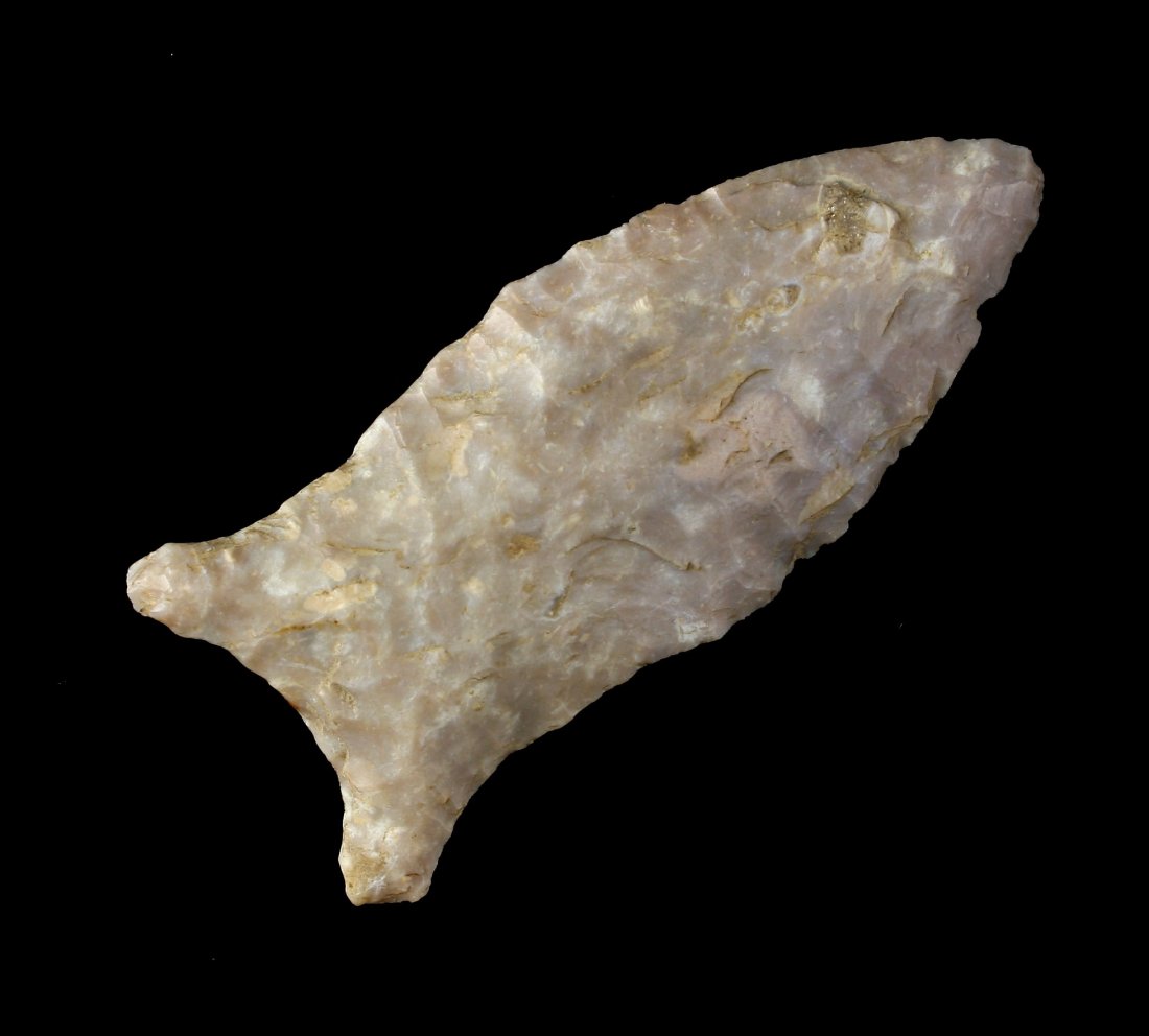 2 5/8" Quad - Stermer COA (1 of 2)