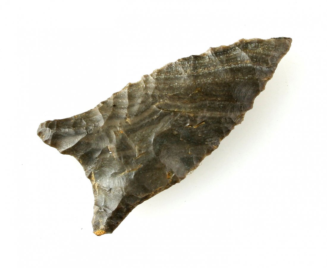 1 7/8" Quad - Walterspaugh COA (1 of 2)