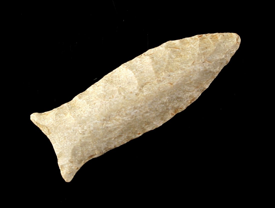 1 11/16" Beaver Lake - Stermer COA (1 of 2)