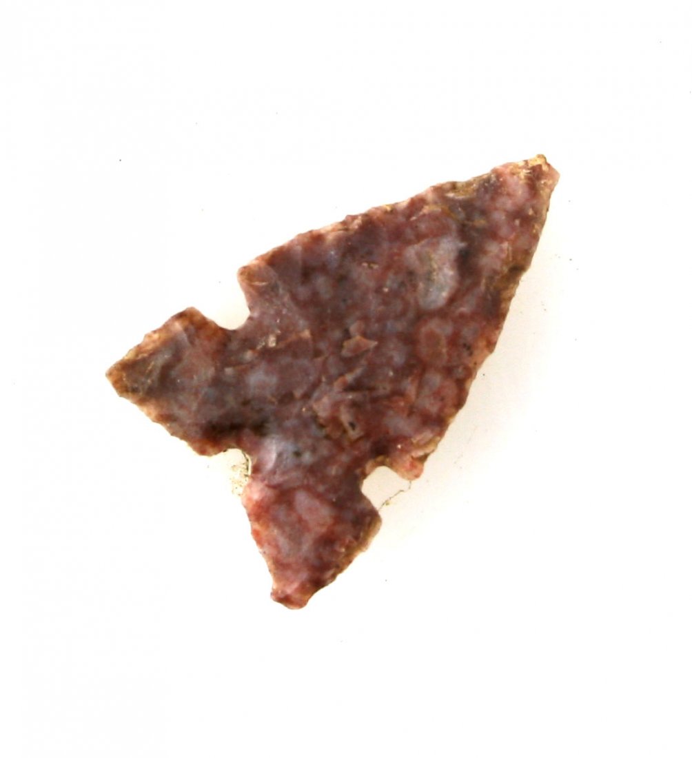 3/4" Harrell (1 of 2)