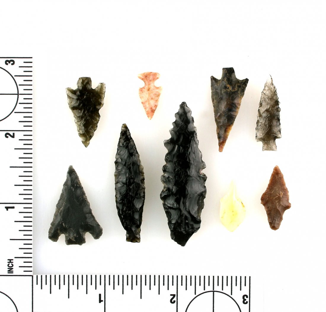 9 Northwest Coast Birdpoints (1 of 1)