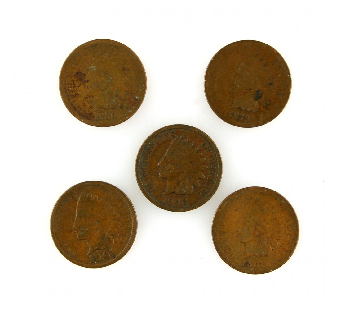 5 Indian Head Pennies (1 of 2)