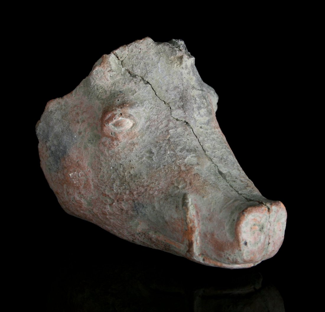 3 1/4" Roman Boar Terracotta Head (1 of 5)