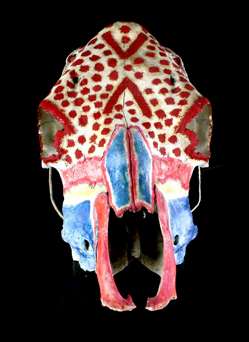 Decorated Sioux Sun Dance Skull (1 of 3)