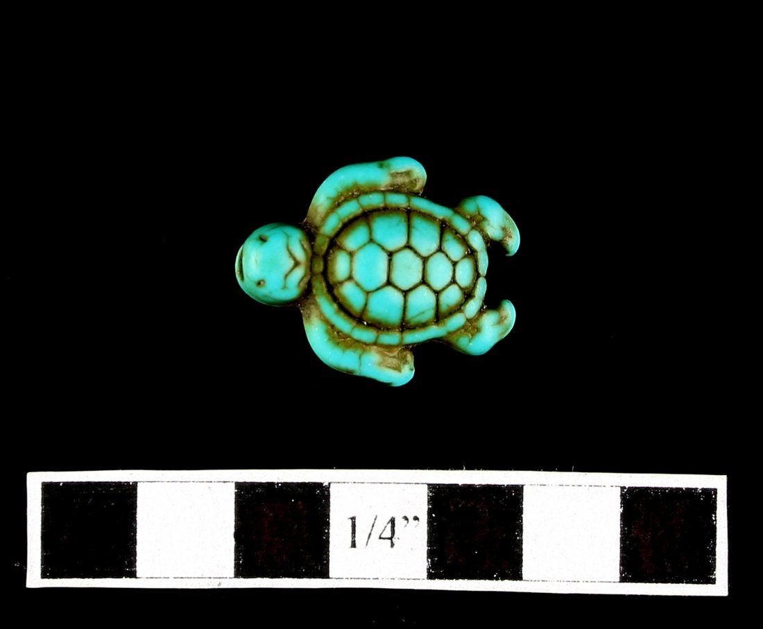11/16" Turtle Bead (1 of 1)