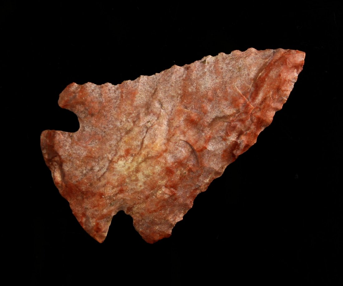 2 5/16" Pinetree - Fears COA (1 of 2)