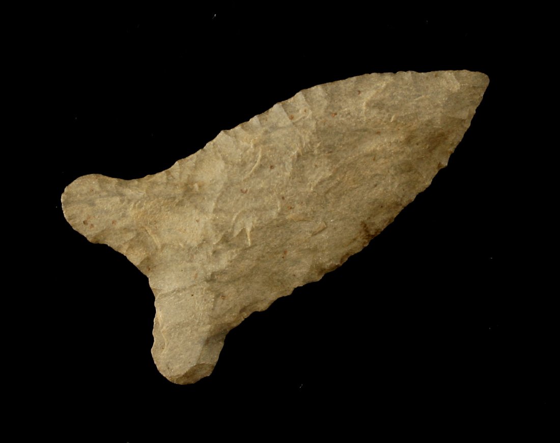 Outstanding 2 1/4" Tennessee Quad (1 of 2)