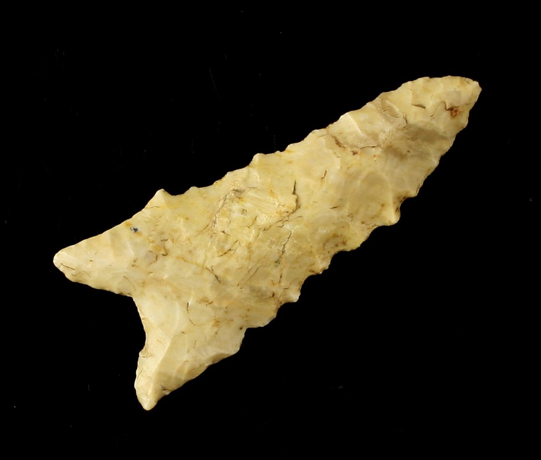 1 15/16" Dalton - Artifactsetc.com COA (1 of 2)