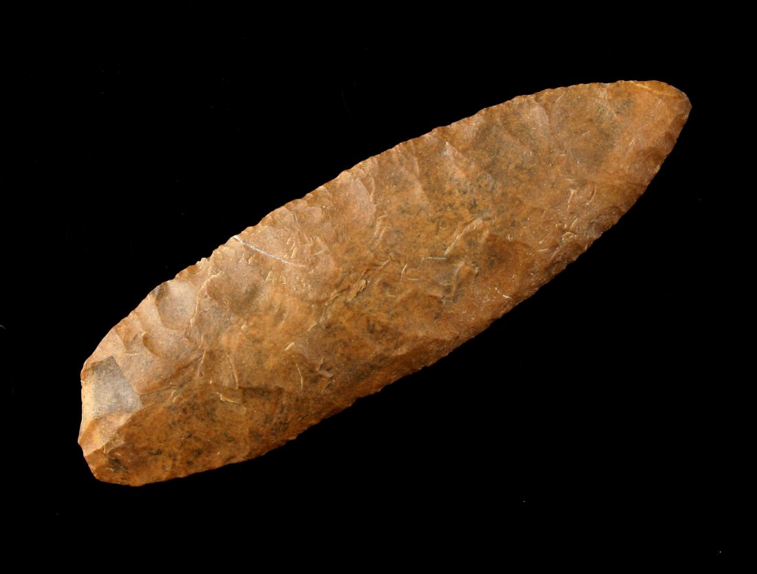 3 3/4" Angostura Knife (1 of 2)