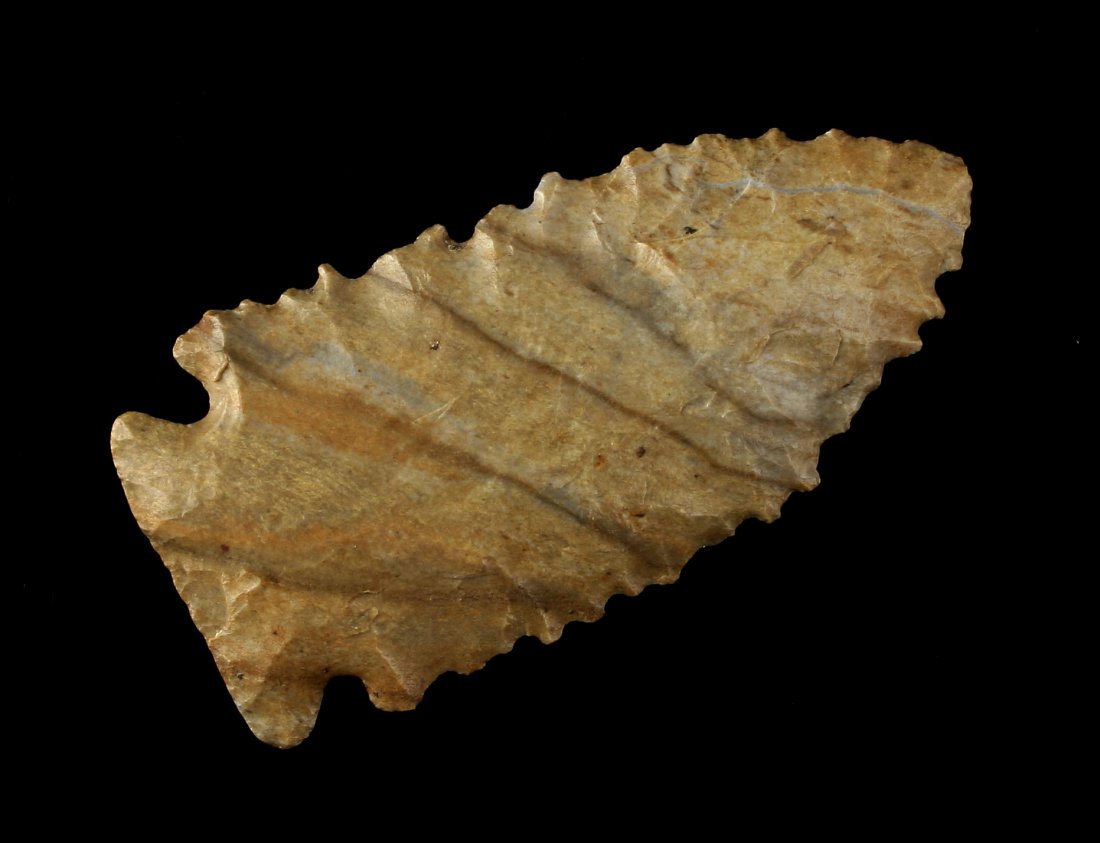 3" Heavily Serrated Stilwell - Jackson COA (1 of 2)