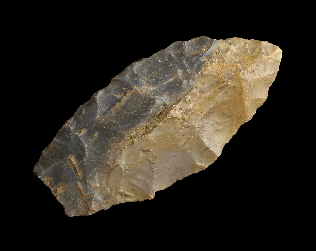 2 1/2" Paleo Dart (1 of 2)