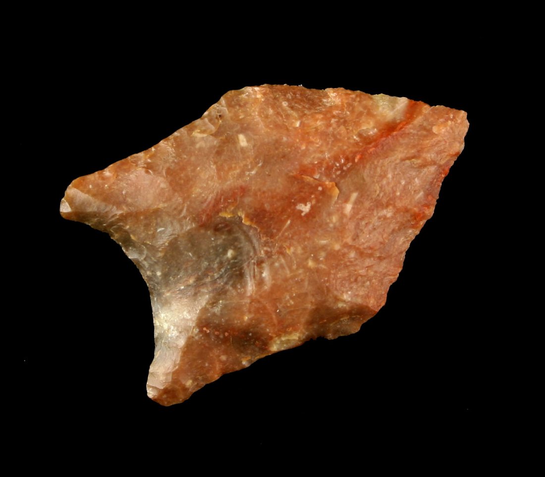 Beautiful 1 1/2" Louisiana Pelican (1 of 2)