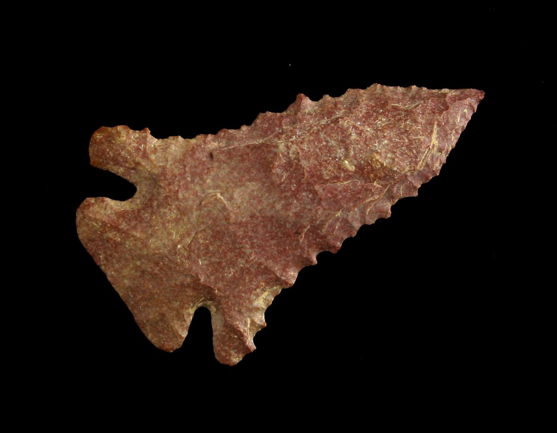 2 3/16" Pinetree - G-10 Dowdle COA (1 of 2)