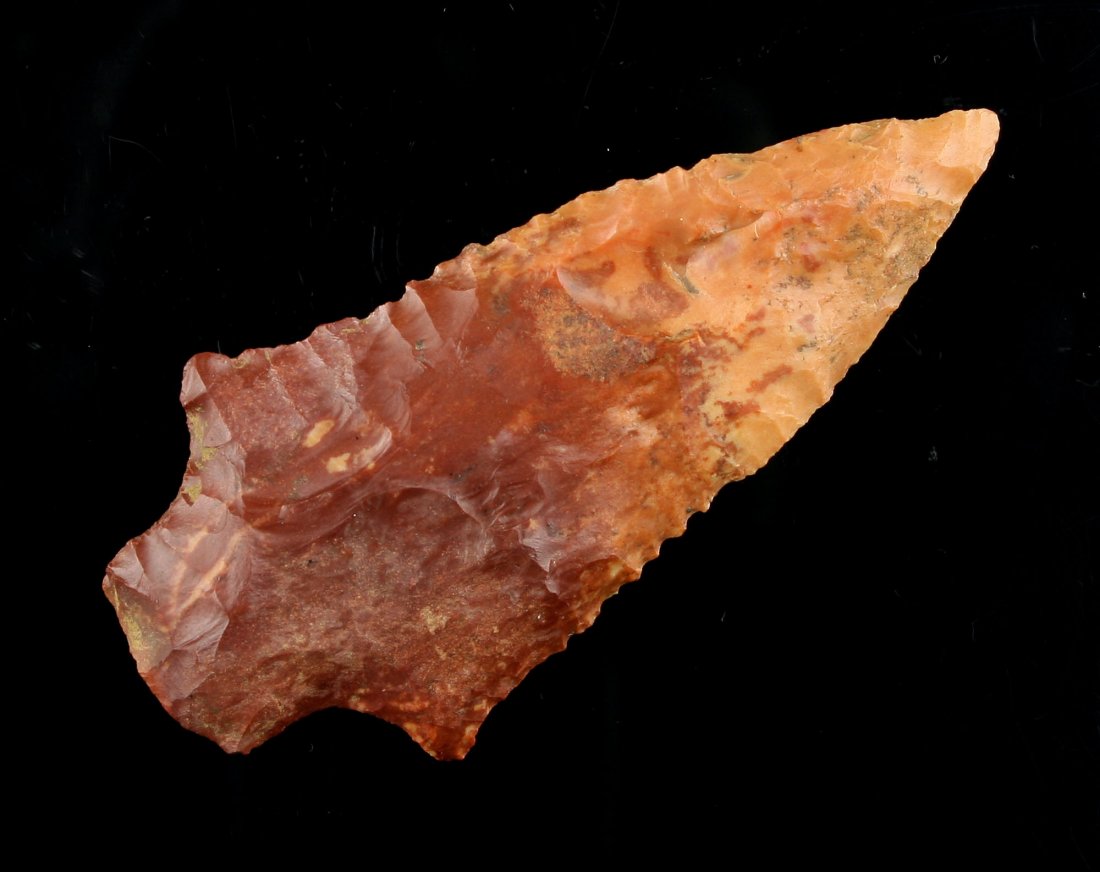 3 1/8" Pickwick - Fears COA (1 of 2)