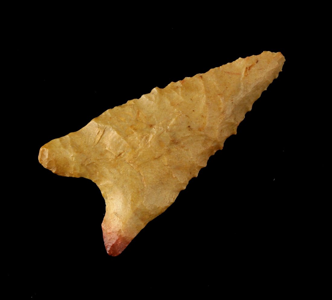 2" Dalton - Rogers COA (1 of 2)