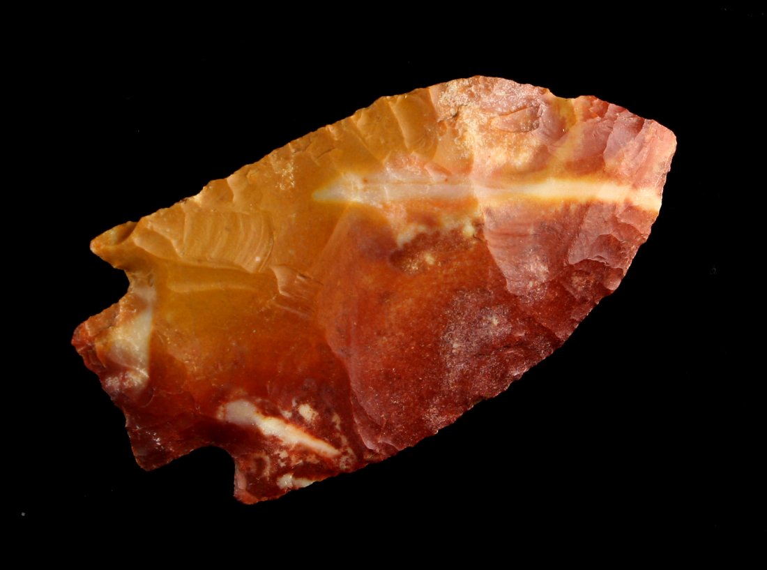 2 5/8" Benton - 'Angelfish!' (1 of 2)