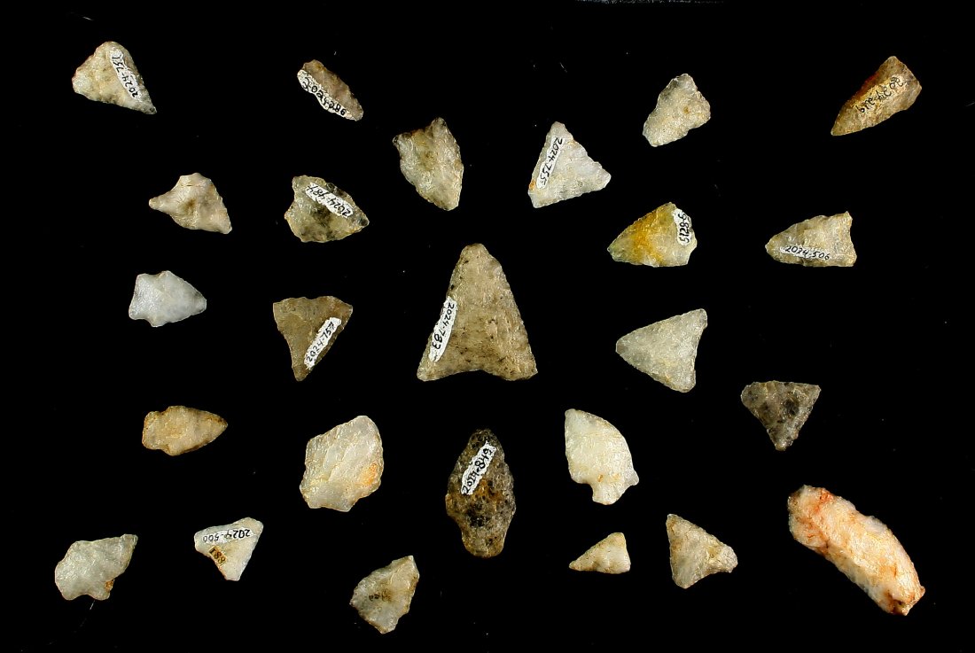 8x12 display of 25 North Carolina Points (1 of 1)