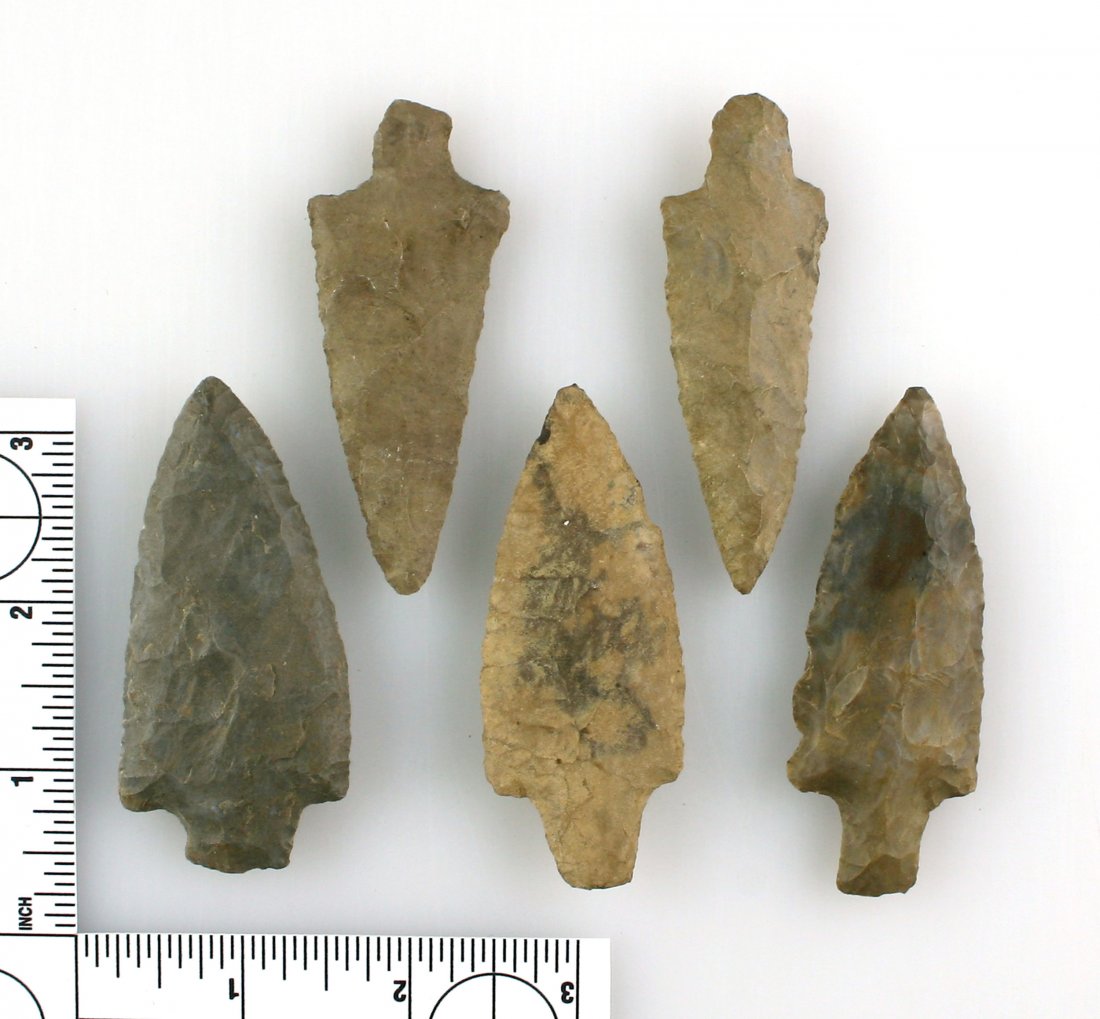 Collector Lot - 5 Exceptional Tennessee Stemmed (1 of 1)