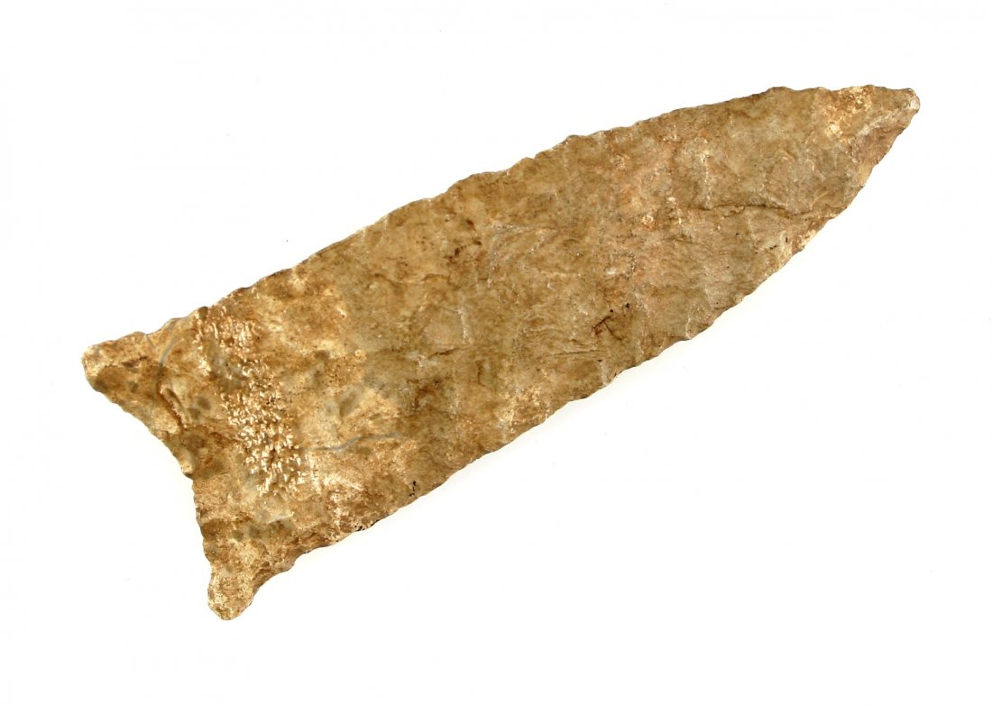 3" Kentucky Dalton - Putty G-8+ COA: Rare type for Kentucky made of an excellent brown/tan nodular chert with really interesting whitish fern (dendritic) fossils laced throughout. Fascinating under a microscope. Great form, flaking, and 