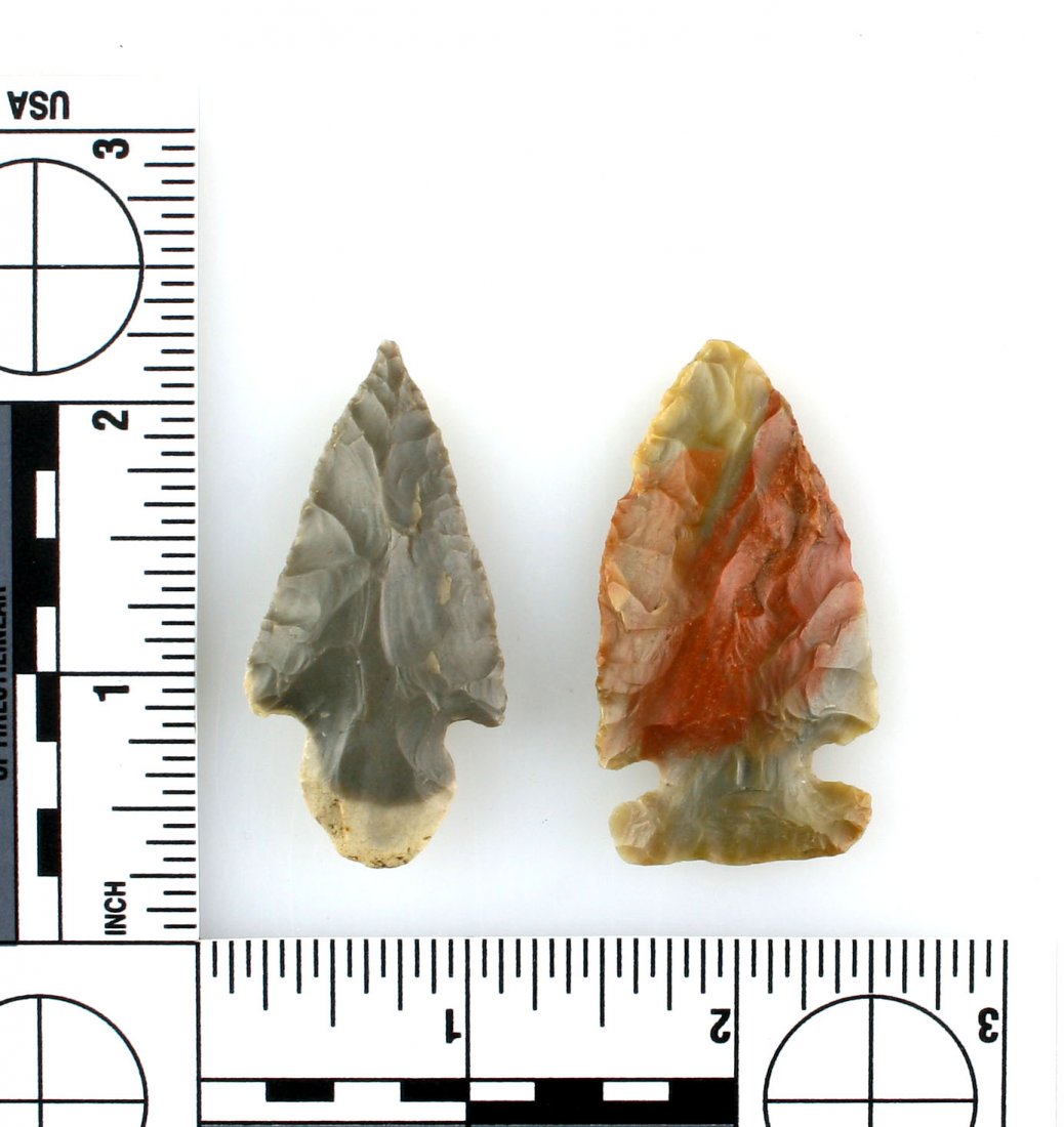 Pair of Kentucky Arrowheads with Case: Small lot comprising of a 2" Intrusive Mound point made from Carter Cave Flint and a 1 7/8" Adena made from Hornstone. Ex - Tate Collection.