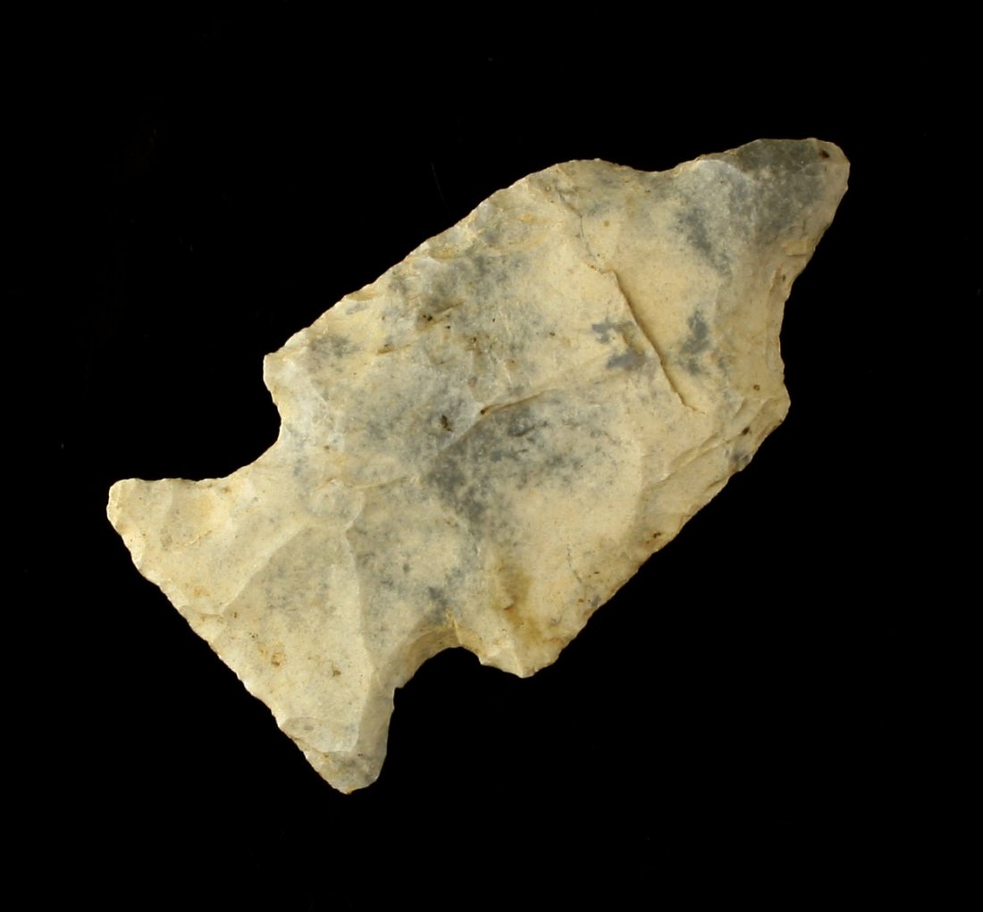1 7/8" Intrusive Mound Perforator: Hornstone example from the Midwest, likely KY/IN/OH.