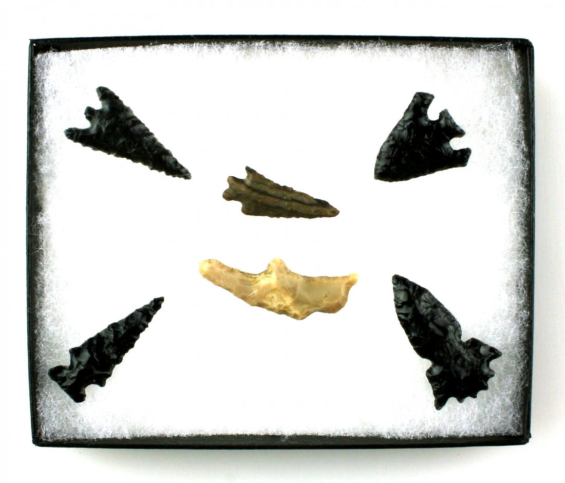 4x5 Decorative display of Northwest Coast Points: Small assortment of 6 Northwest Coast obsidian and petrified wood points. Sold as Decorative only.